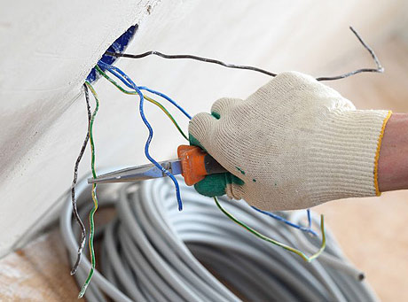 Domestic Electrician